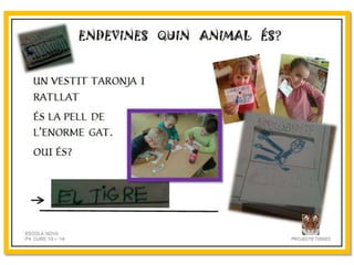 Projecte Tigres P4 B Escola Nova