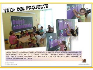 Projecte Tigres P4 B Escola Nova