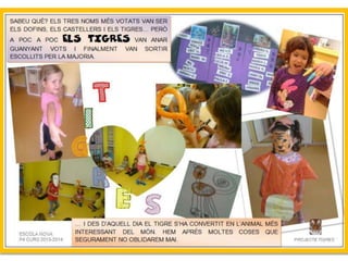 Projecte Tigres P4 B Escola Nova