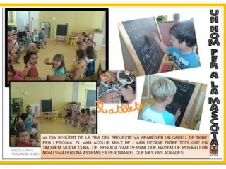 Projecte Tigres P4 B Escola Nova