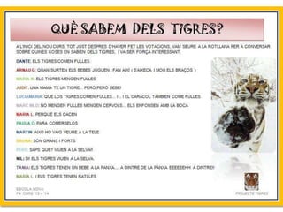 Projecte Tigres P4 B Escola Nova