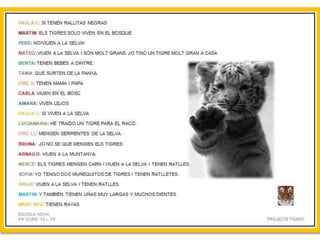 Projecte Tigres P4 B Escola Nova