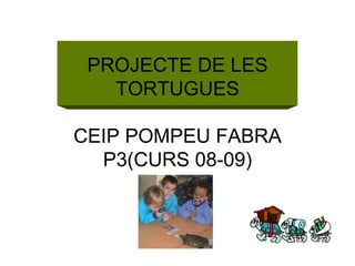 PROJECTE DE LES
   TORTUGUES

CEIP POMPEU FABRA
  P3(CURS 08-09)
 