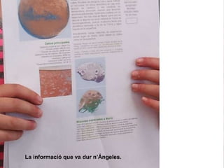 La informació que va dur n’Ángeles.
 