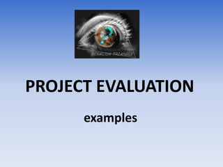 PROJECT EVALUATION
      examples
 