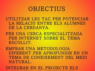 POQUES ACTIVITATS CONJUNTES 