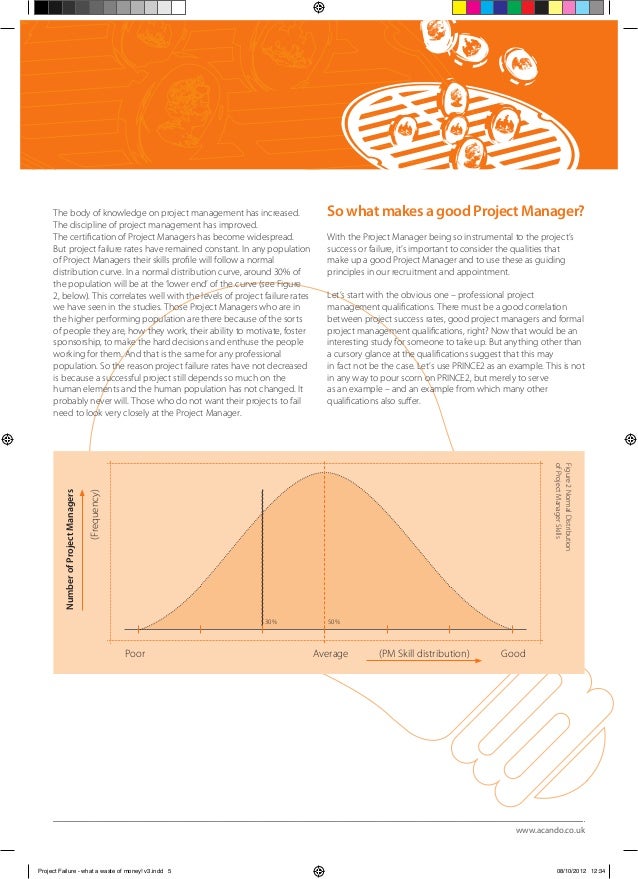 If i have money essay image