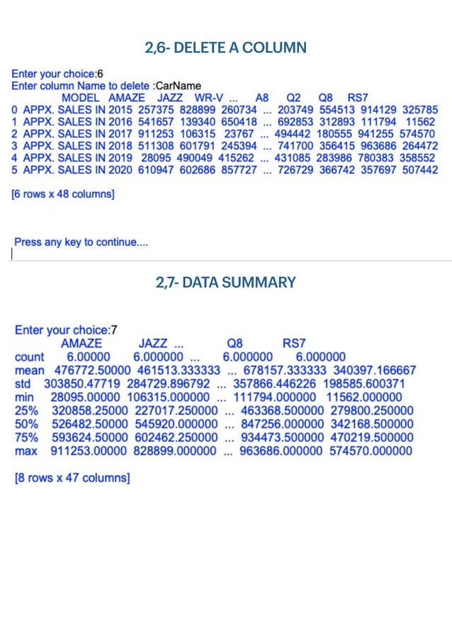 Informatics Practices/ Information Practices Project (IP Project Class ...