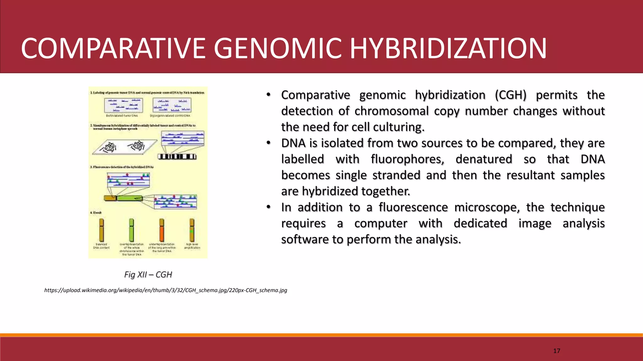17
COMPARATIVE GENOMIC HYBRIDIZATION
• Comparative genomic hybridization (CGH) permits the
detection of chromosomal copy number changes without
the need for cell culturing.
• DNA is isolated from two sources to be compared, they are
labelled with fluorophores, denatured so that DNA
becomes single stranded and then the resultant samples
are hybridized together.
• In addition to a fluorescence microscope, the technique
requires a computer with dedicated image analysis
software to perform the analysis.
Fig XII – CGH
https://upload.wikimedia.org/wikipedia/en/thumb/3/32/CGH_schema.jpg/220px-CGH_schema.jpg
 