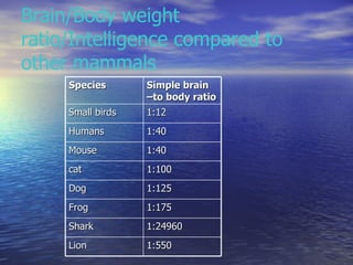 Brain/Body weight ratio/Intelligence compared to other mammals Species Simple brain –to body ratio Small birds 1:12 Humans...