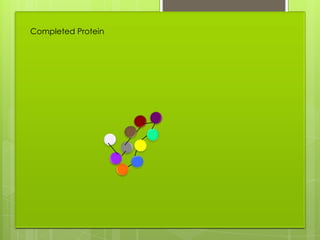 Completed Protein
 