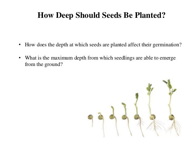 Computer Program Simulate Natural Selection Computer Program Simulate Natural Selection