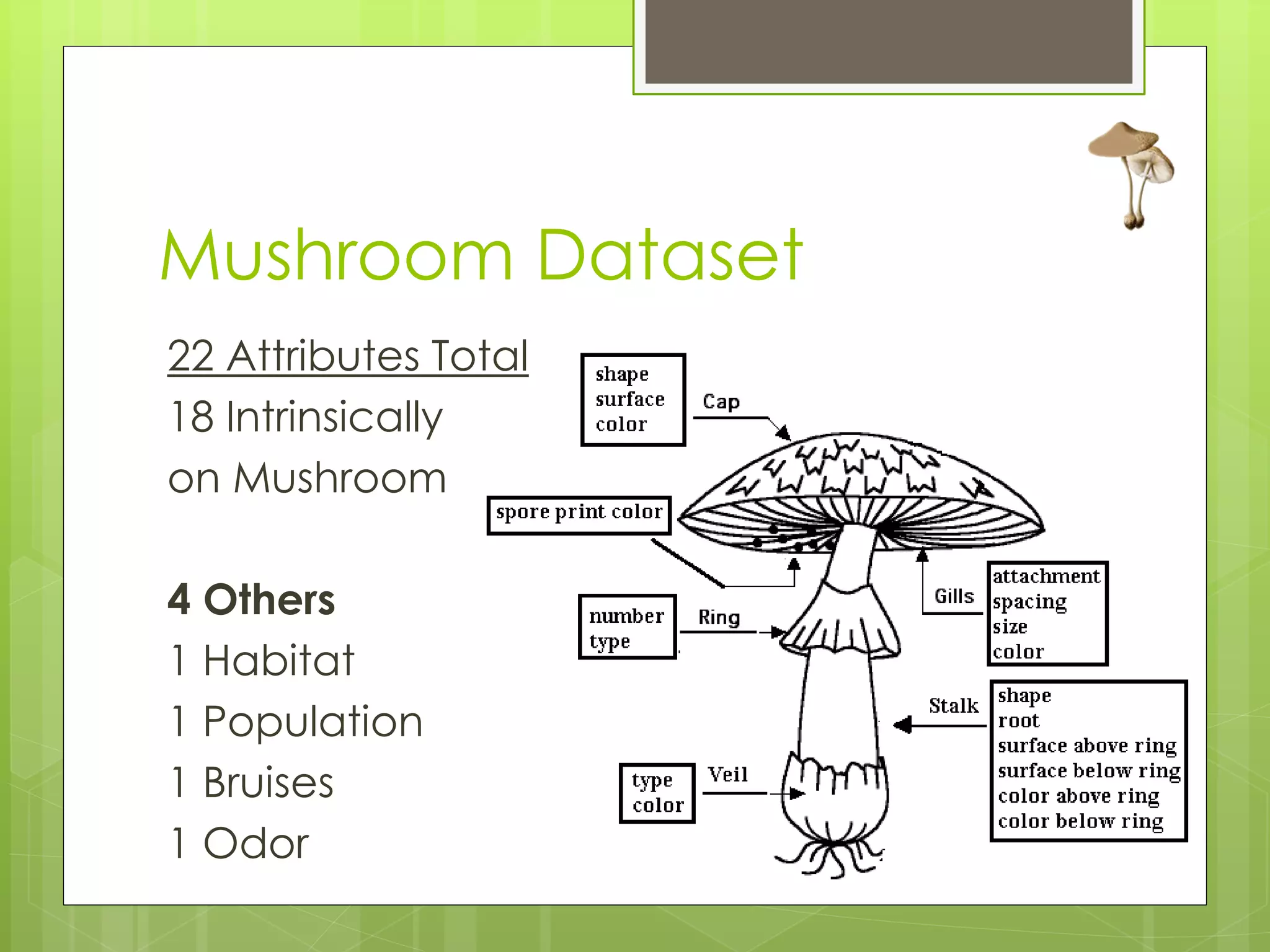 Mushroom Dataset
22 Attributes Total
18 Intrinsically
on Mushroom

4 Others
1 Habitat
1 Population
1 Bruises
1 Odor
 
