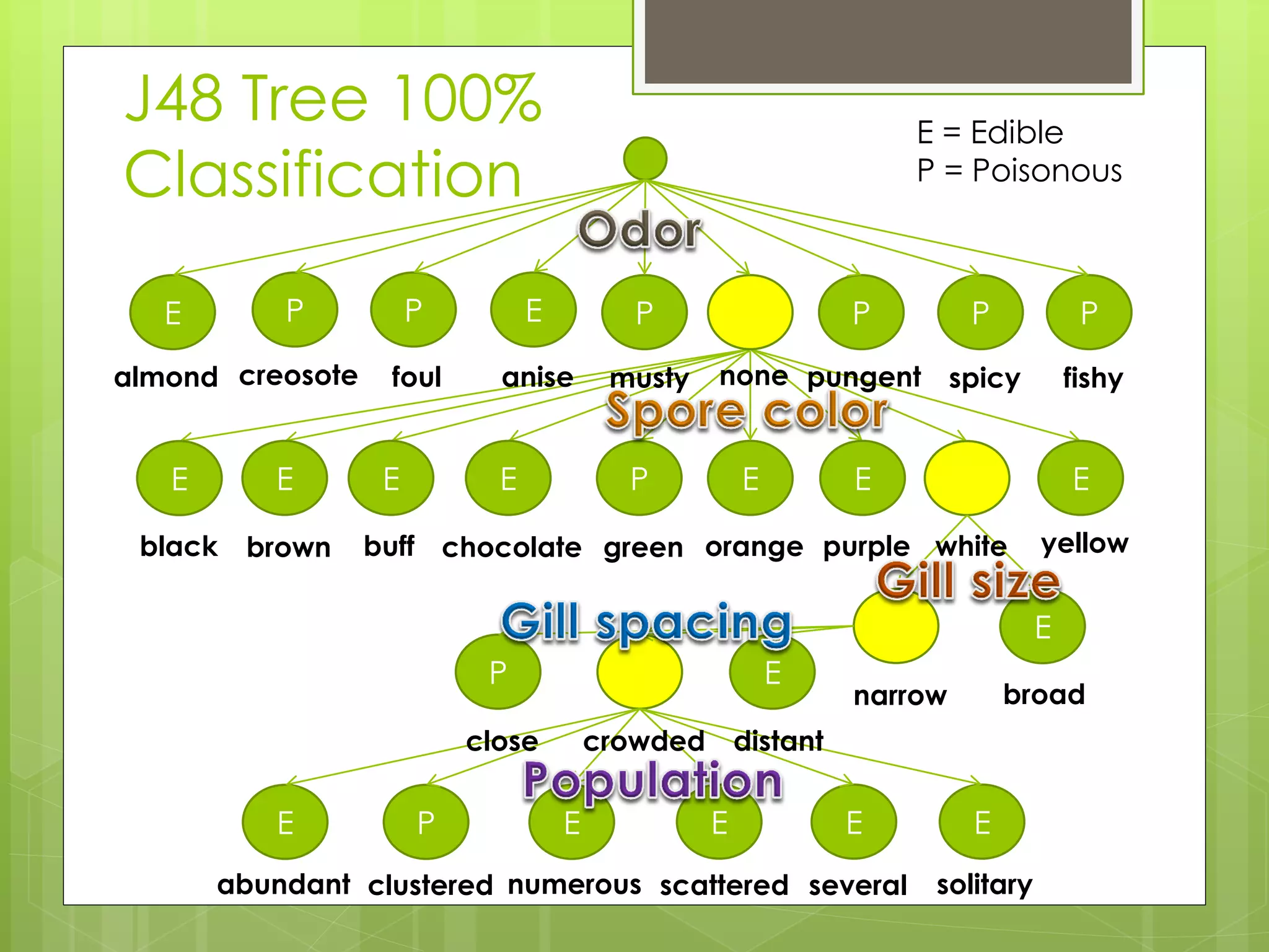 J48 Tree 100%                                                     E = Edible
Classification                                                    P = Poisonous



   E       P           P         E          P                 P        P           P
almond creosote    foul      anise        musty   none pungent spicy              fishy


   E      E        E         E             P          E       E                   E

 black   brown    buff chocolate green orange purple white                    yellow


                                                                              E
                            P                             E
                                                              narrow       broad
                           close         crowded distant

          E            P             E            E           E        E
       abundant clustered numerous scattered several               solitary
 