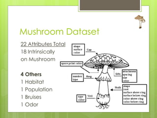 Mushroom Dataset
22 Attributes Total
18 Intrinsically
on Mushroom

4 Others
1 Habitat
1 Population
1 Bruises
1 Odor
 