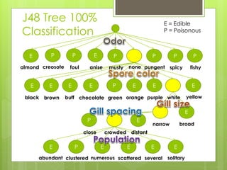 J48 Tree 100%                                                     E = Edible
Classification                                                    P = Poisonous



   E       P           P         E          P                 P        P           P
almond creosote    foul      anise        musty   none pungent spicy              fishy


   E      E        E         E             P          E       E                   E

 black   brown    buff chocolate green orange purple white                    yellow


                                                                              E
                            P                             E
                                                              narrow       broad
                           close         crowded distant

          E            P             E            E           E        E
       abundant clustered numerous scattered several               solitary
 