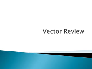 Vector Review