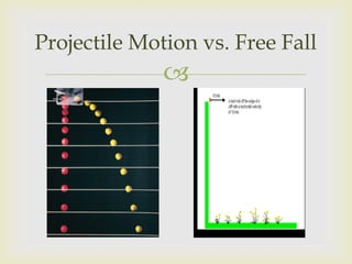 Projectile Motion vs. Free Fall
              
 