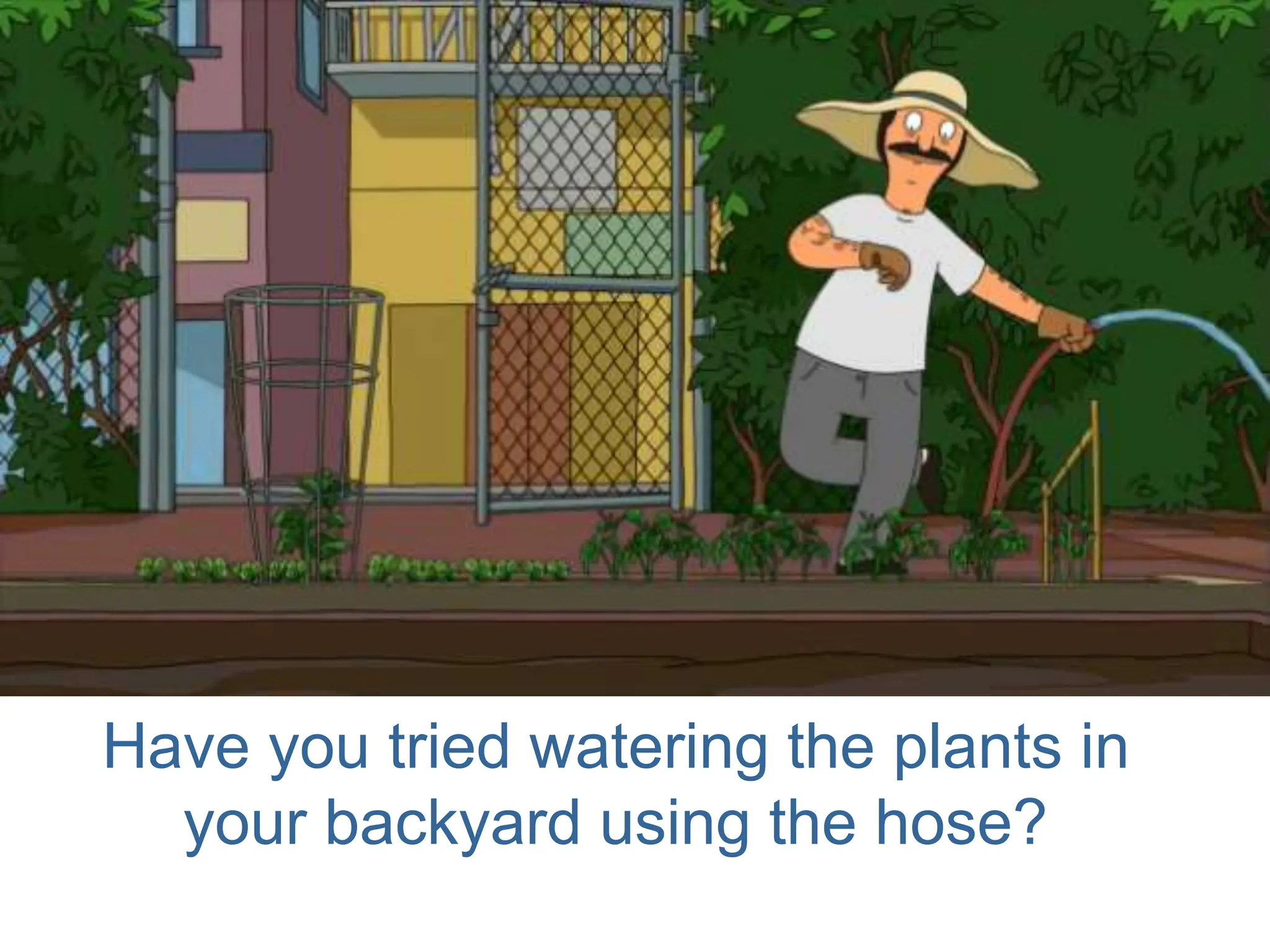 Have you tried watering the plants in
your backyard using the hose?
 