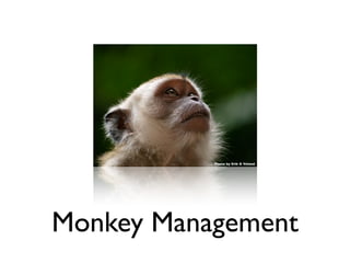 Photo by Erik K Veland




Monkey Management
 