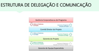 ESTRUTURA DE DELEGAÇÃO E COMUNICAÇÃO
 