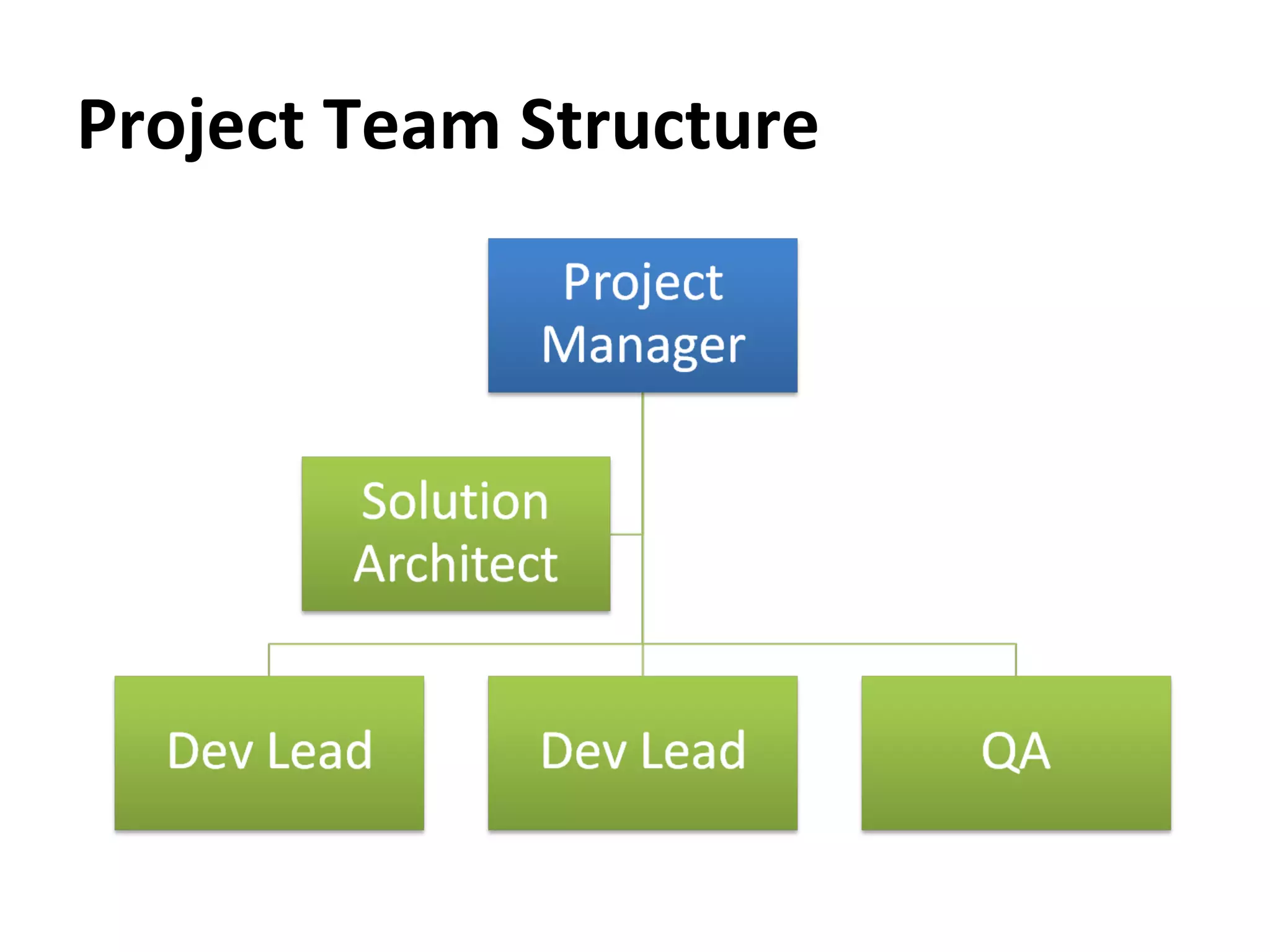 Project Team Structure 