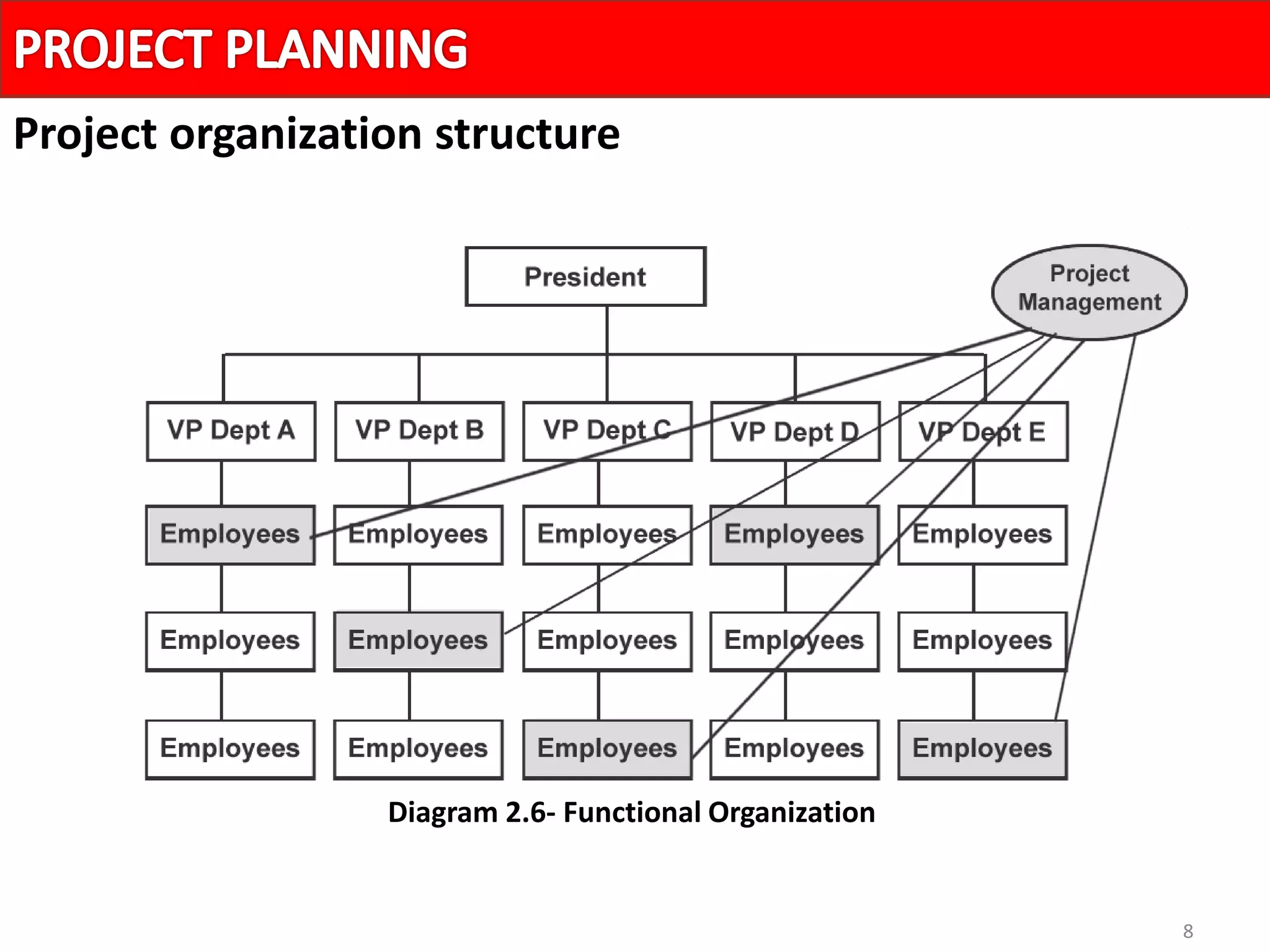 8
Project organization structure
Diagram 2.6- Functional Organization
 