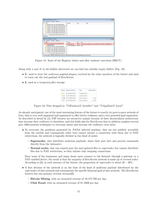 Project in malware analysis:C2C | PDF