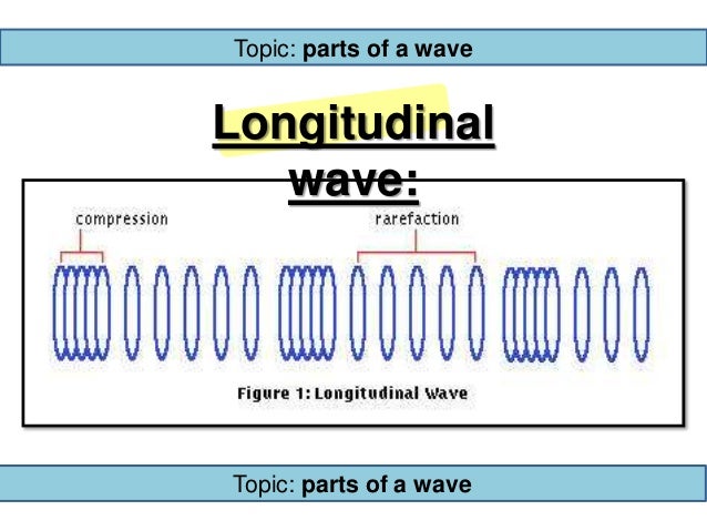 What are the parts of a longitudinal wave?