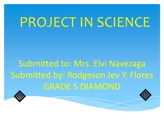 PROJECT IN SCIENCE

  Submitted to: Mrs. Elvi Navezaga
Submitted by: Rodgeson Jev Y. Flores
       GRADE 5 DIAMOND
 