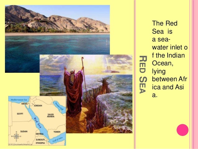 Seas Lakes And Rivers Project In Science