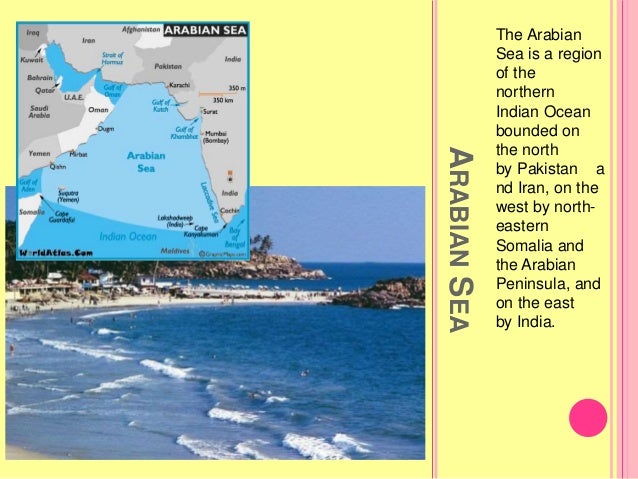 Seas Lakes And Rivers Project In Science