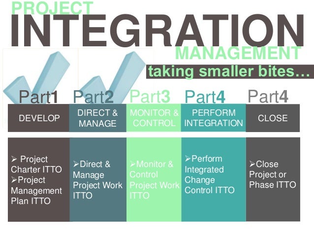integrated project management