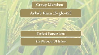 Group Member:
Arbab Raza 15-glc-423
Project Supervisor:
Sir Waseeq Ul Islam
 