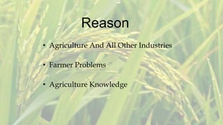 Reason
• Agriculture And All Other Industries
• Farmer Problems
• Agriculture Knowledge
 