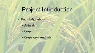 Project Introduction
• Knowledge About
– Animals
– Crops
– Crops Area Analysis
 