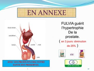 EN ANNEXE
                                FULVIA guérit
                                l’hypertrophie
                                     De la
                                   prostate.
                              ( en 3 jours: diminution
                                     de 25% )


                                       OU


AVEC LES PRODUITS EMA VOTRE
    SANTE EST PRESERVEE.
              1                                          40
 