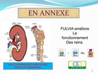 EN ANNEXE
                              FULVIA améliore
                                      Le
                               fonctionnement
                                  Des reins.

                                 +      Ou



AVEC LES PRODUITS EMA VOTRE
    SANTE EST PRESERVEE.
             1                                  42
 