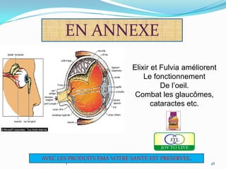 EN ANNEXE

                             Elixir et Fulvia améliorent
                                 Le fonctionnement
                                       De l’oeil.
                              Combat les glaucômes,
                                    cataractes etc.
                                          .




AVEC LES PRODUITS EMA VOTRE SANTE EST PRESERVEE.
       1                                              48
 