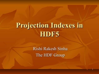 Projection Indexes in
HDF5
Rishi Rakesh Sinha
The HDF Group
1

 