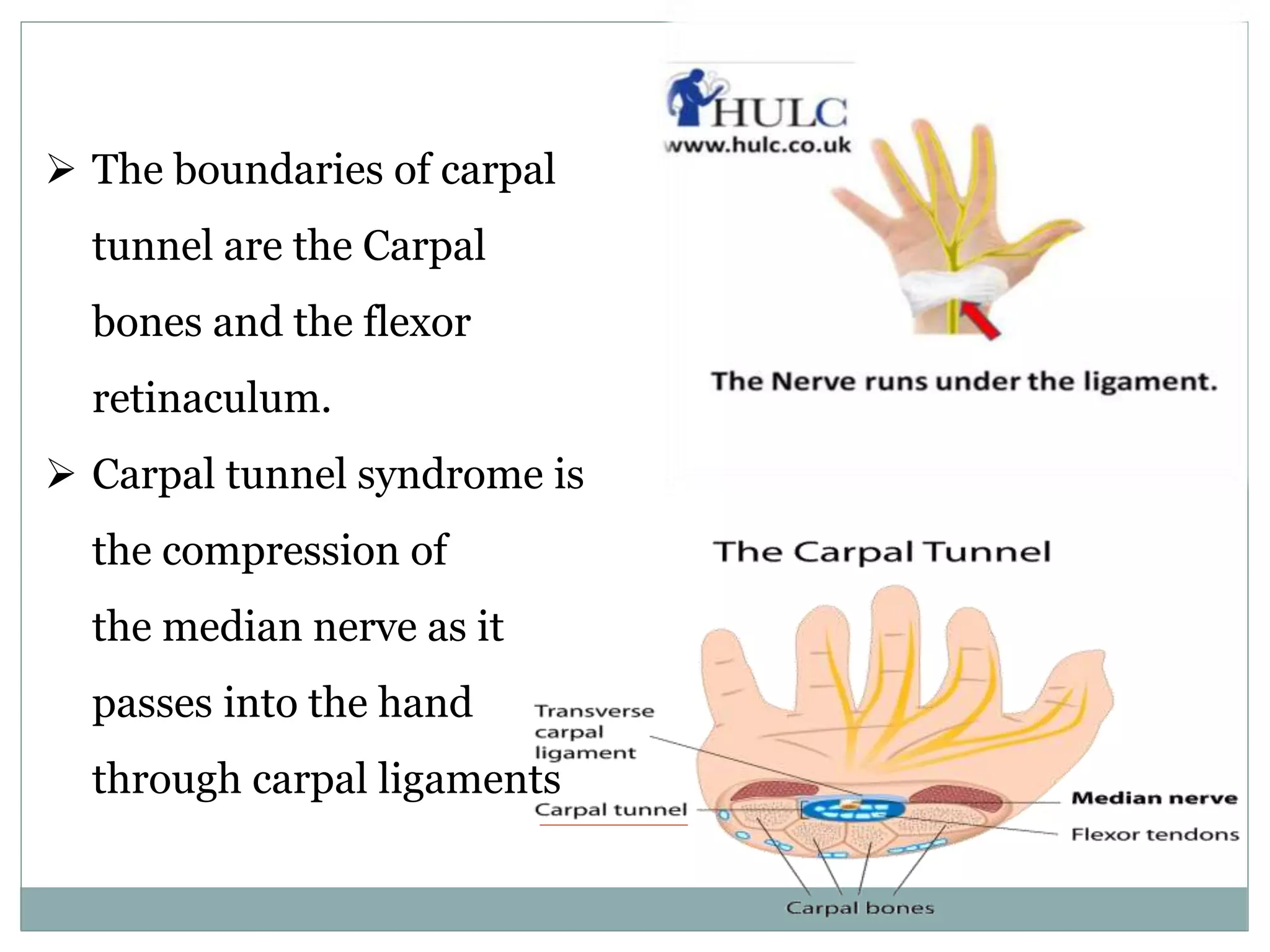 Projections of carpal tunnel and wrist Biology Diagrams