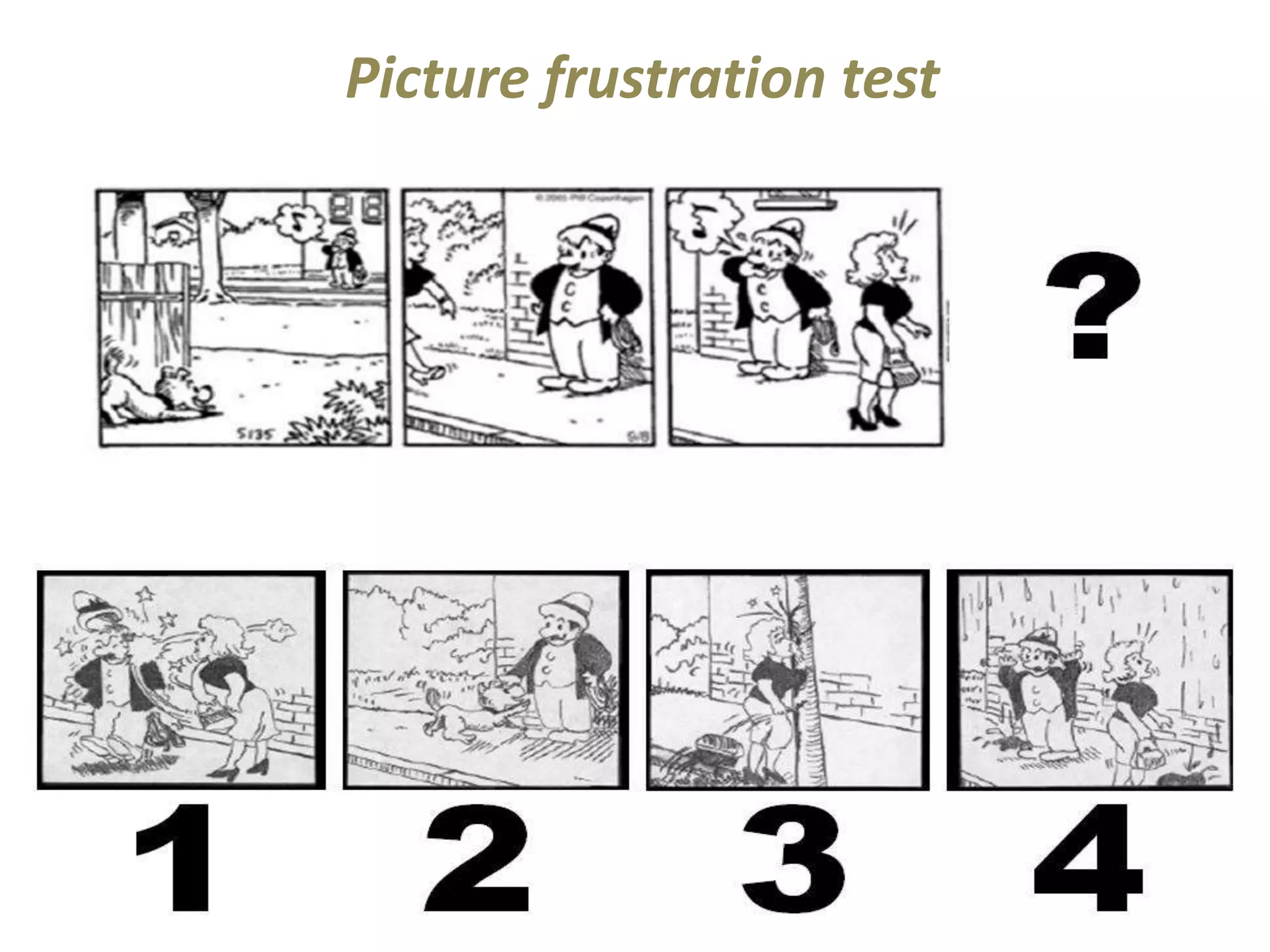 Picture frustration test 
 