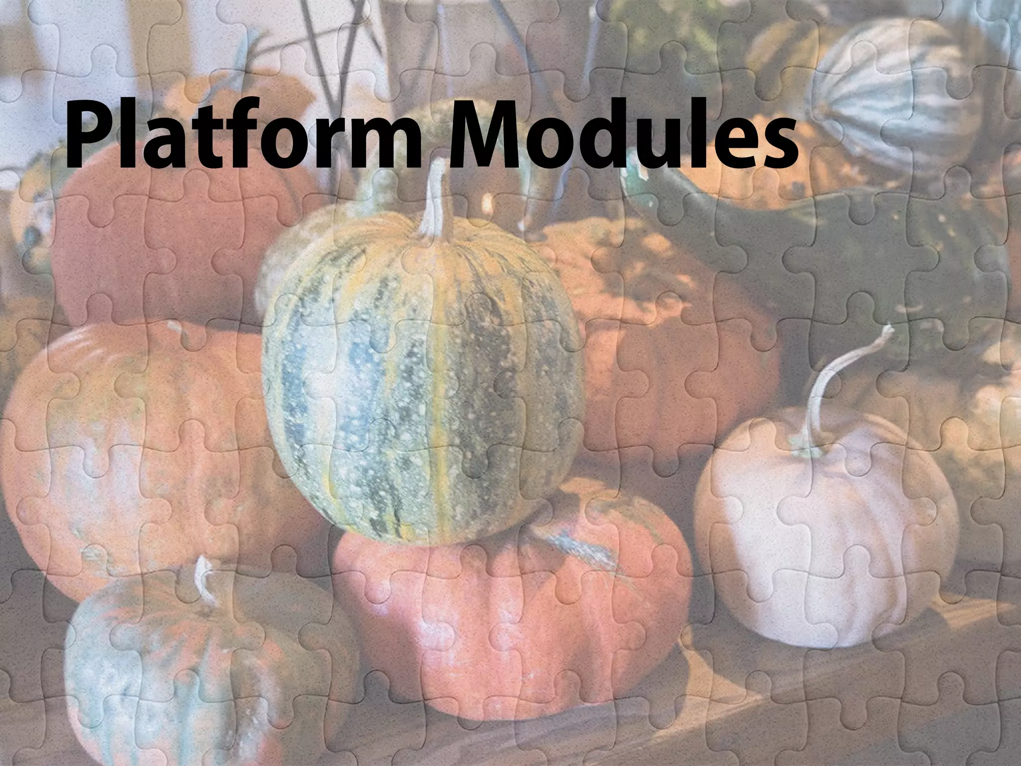 Introduction of Project Jigsaw