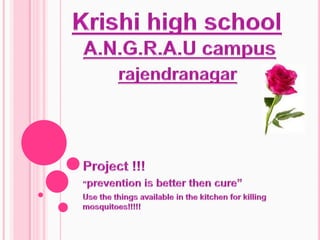 Project !!! “prevention is better then cure” Use the things available in the kitchen for killing mosquitoes!!!!! Krishi high school A.N.G.R.A.U campus rajendranagar 