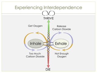 38Polarity Thinking
Experiencing Interdependence
Get Oxygen
Exhale
Too Much
Carbon Dioxide
Release
Carbon Dioxide
Not Enou...