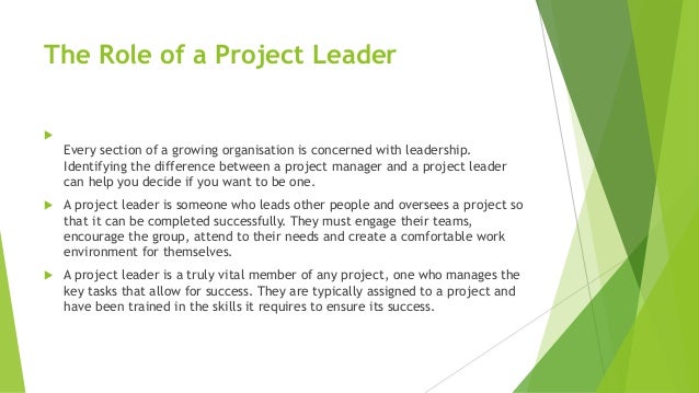 Project Leader Roles and Responsibilities in Project Management.pdf