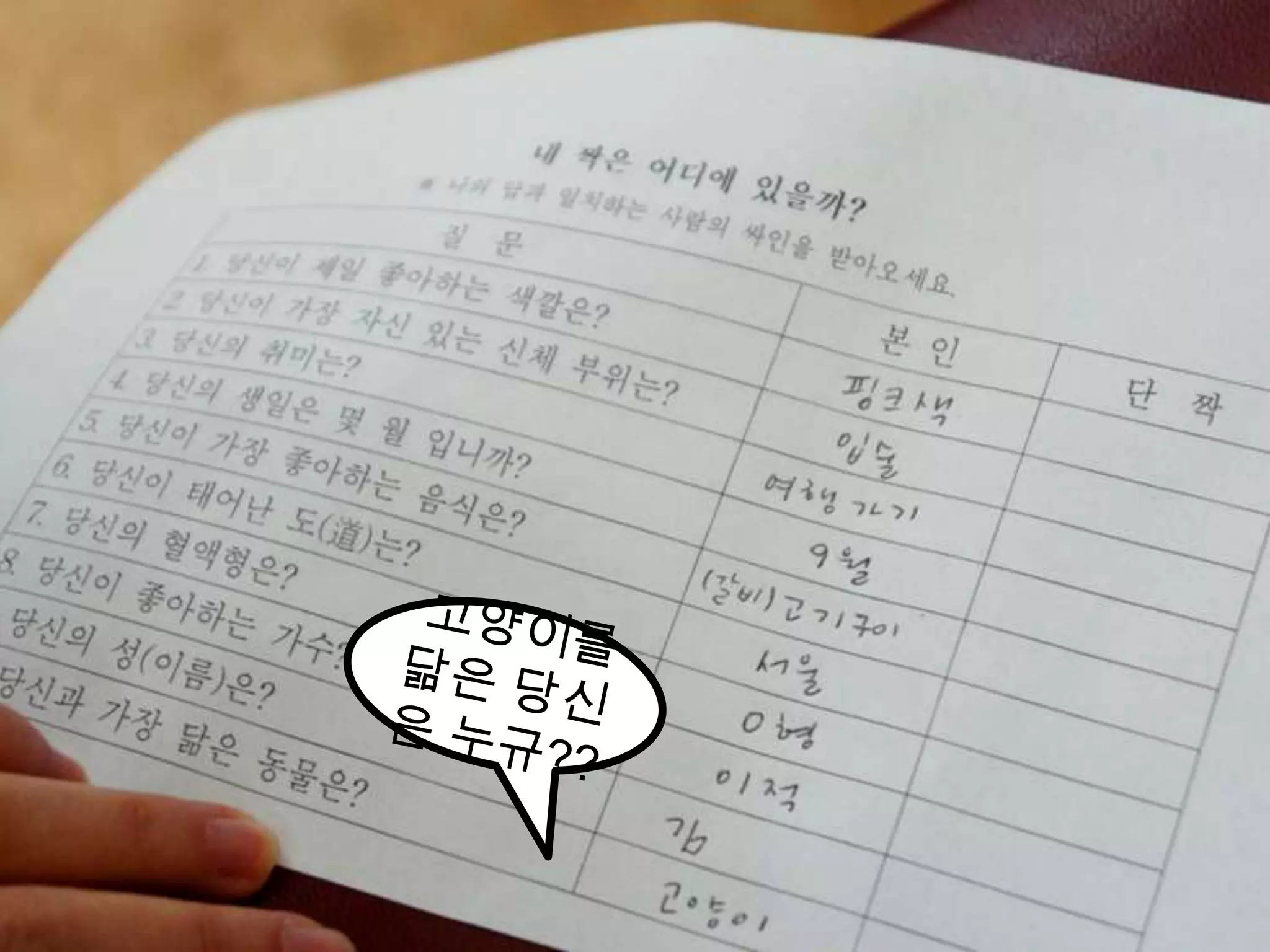 고양이를 닮은 당신은 누규??