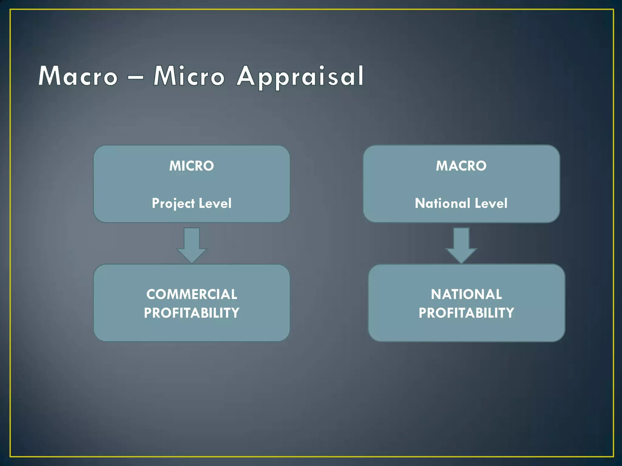 MICRO

MACRO

Project Level

National Level

COMMERCIAL
PROFITABILITY

NATIONAL
PROFITABILITY

 