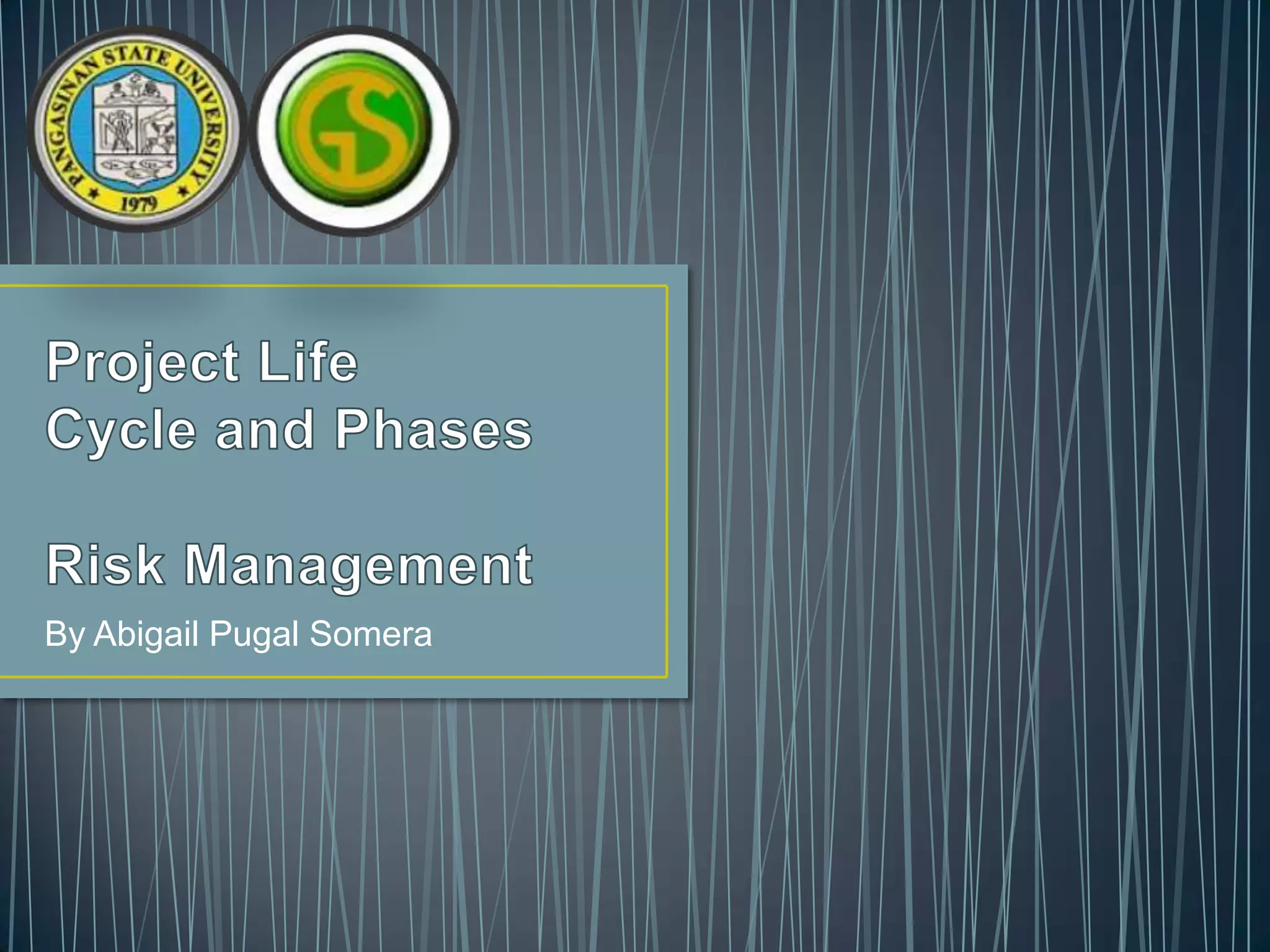 Project Life Cycle and Phases with Risk Management discussion | PPTX