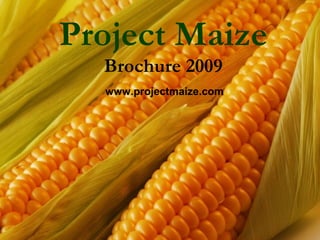 Project Maize
  Brochure 2009
  www.projectmaize.com
 